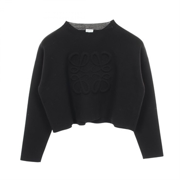 ロエベ アナグラム クロップド ニット 衣料品 トップス レディース S540Y14KBG