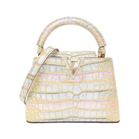 ルイ・ヴィトン(LOUIS VUITTON)ルイヴィトン エキゾチック レザー