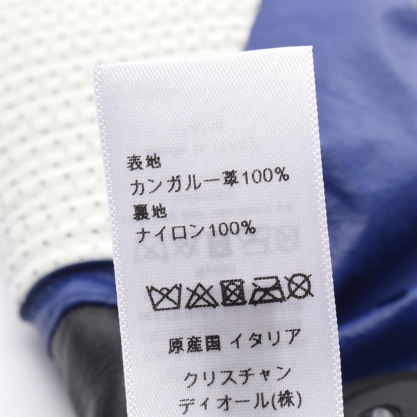 ディオール(Dior)ディオール ロンググローブ 手袋 衣料品 レディース