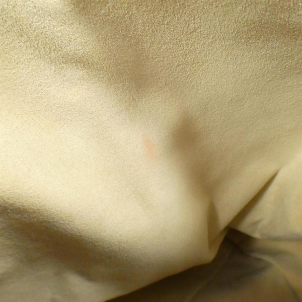 ルイ・ヴィトン(LOUIS VUITTON)ルイヴィトン モノグラム ガリエラ GM  