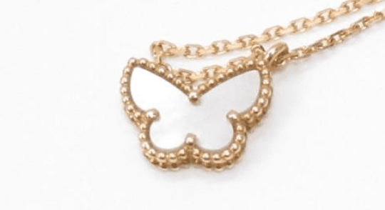 写真 蝶々のモチーフの「パピヨン」