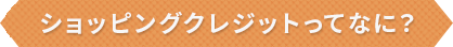 ショッピングクレジットってなに？