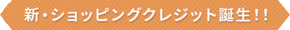 新・ショッピングクレジット誕生！！