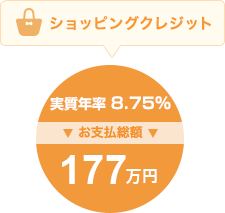ショッピングクレジット 171万円