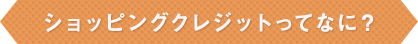 ショッピングクレジットってなに？